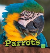 Parrots