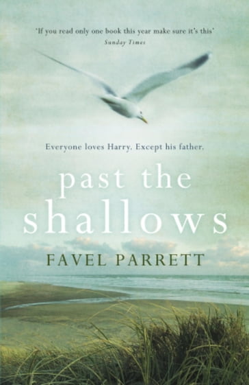 Past the Shallows - Favel Parrett