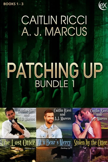 Patching Up Bundle 1 - A.J. Marcus - Caitlin Ricci