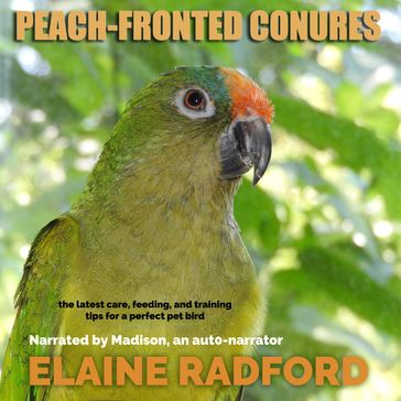 Peach-fronted Conures - Elaine Radford