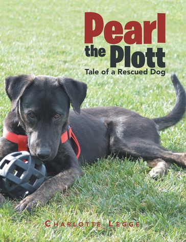 Pearl the Plott - Charlotte Legge