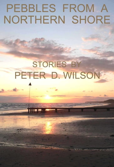 Pebbles from a Northern Shore - Peter D Wilson