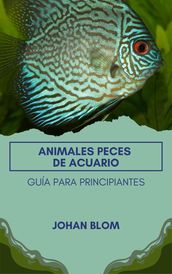 Peces de acuario: Guía para principiantes