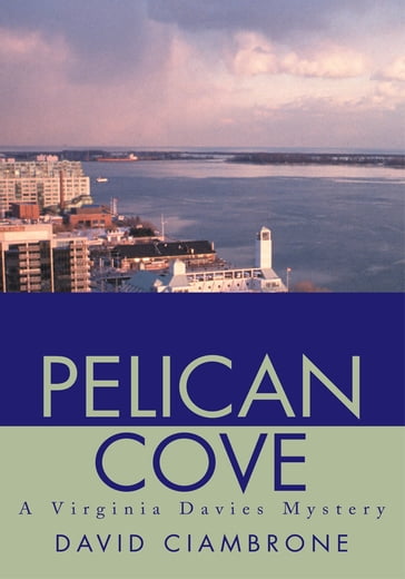 Pelican Cove - David Ciambrone