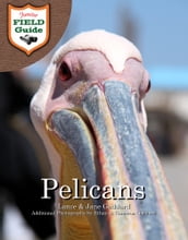 Pelicans