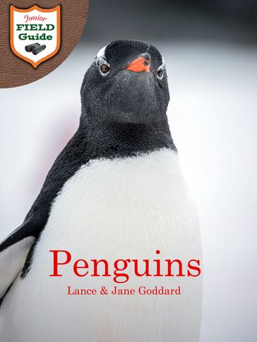 Penguins - Jane Goddard - Lance Goddard