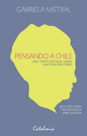 Pensando a Chile. Una visión esencial sobre nuestra identidad