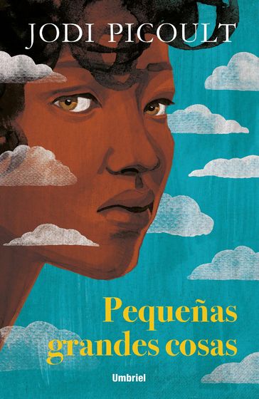 Pequeñas grandes cosas - Jodi Picoult