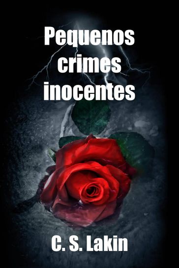 Pequenos Crimes Inocentes - C. S. Lakin