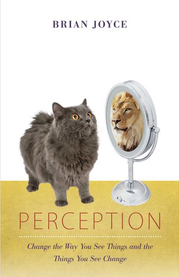 Perception - Brian Joyce