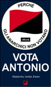 Perché gli anarchici non votano