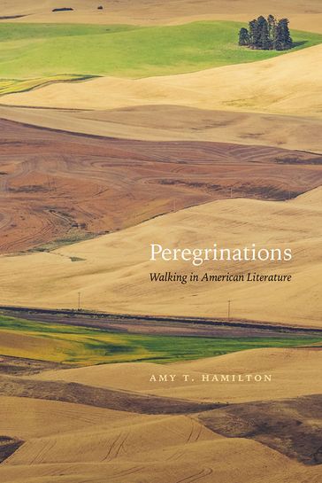 Peregrinations - Amy T Hamilton