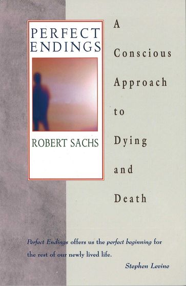 Perfect Endings - Robert Sachs