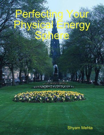 Perfecting Your Physical Energy Sphere - Shyam Mehta