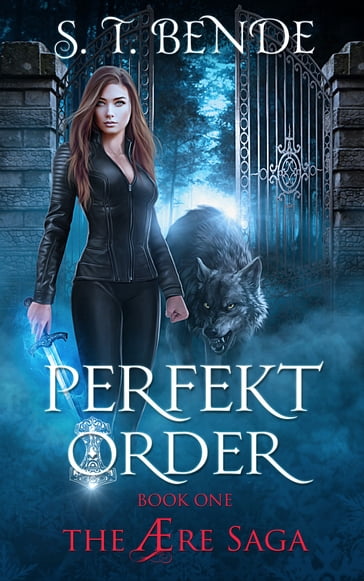 Perfekt Order (The Ære Saga Book 1) - S.T. Bende