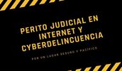 Perito Judicial en Internet y Cyberdelincuencia