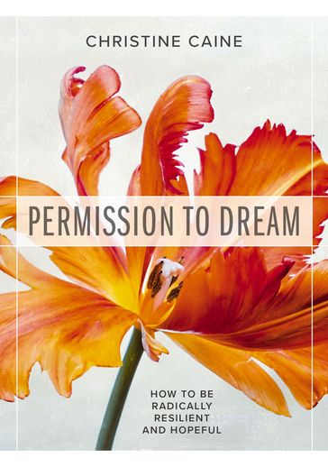 Permission to Dream - Christine Caine
