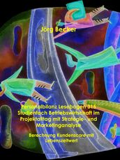 Personalbilanz Lesebogen 315 Studienfach Betriebswirtschaft im Projektalltag mit Strategie- und Marketinganalyse