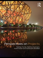 Perspectives on Projects