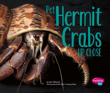 Pet Hermit Crabs Up Close - Gail Saunders-Smith - Jeni Wittrock