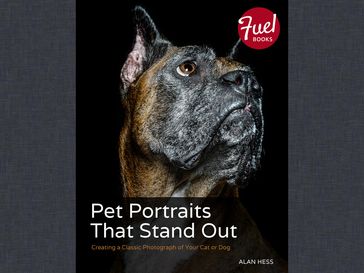 Pet Portraits That Stand Out - Alan Hess