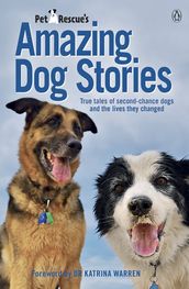 PetRescue s Amazing Dog Stories