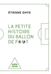 La Petite Histoire du ballon de foot