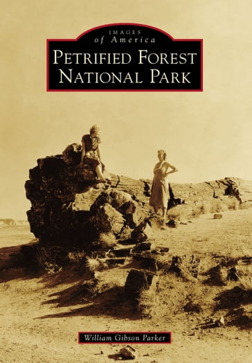 Petrified Forest National Park - William Gibson Parker
