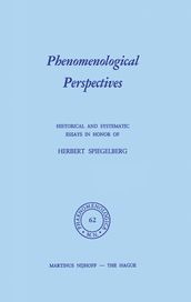 Phenomenological Perspectives
