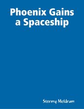 Phoenix Gains a Spaceship