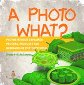 A Photo What? Photosynthesis Explained   Process, Products and Reactants of Photosynthesis   Grade 6-8 Life Science