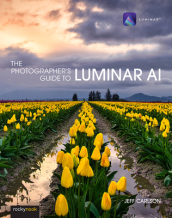 Photographer s Guide to Luminar AI,The