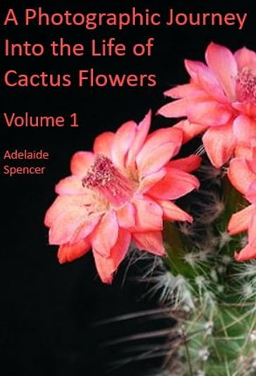 A Photographic Journey Into The Life of Cactus Flowers - Adelaide Spencer