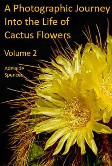 A Photographic Journey Into The Life of Cactus Flowers - Adelaide Spencer