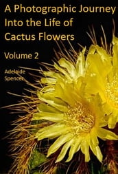 A Photographic Journey Into The Life of Cactus Flowers