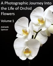 A Photographic Journey Into The Life of Orchid Flowers