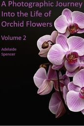 A Photographic Journey Into The Life of Orchid Flowers