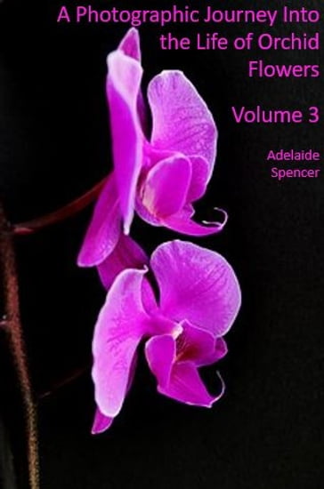 A Photographic Journey Into The Life Of Orchid Flowers - Adelaide Spencer