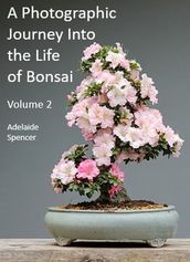 A Photographic Journey Into The Life of Bonsai