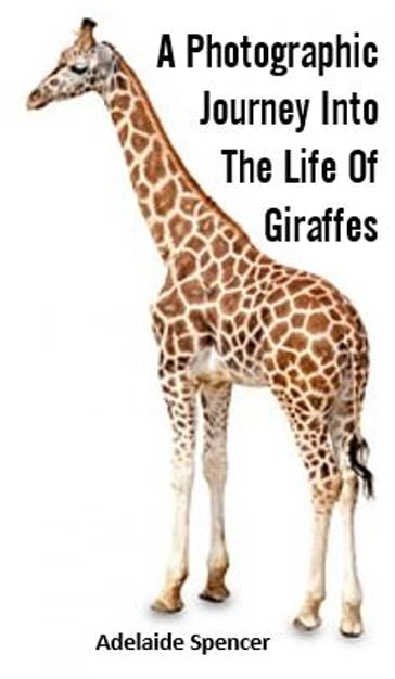 A Photographic Journey Into The Life of Giraffes - Adelaide Spencer