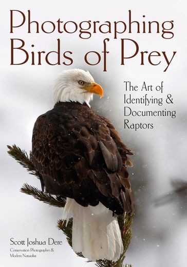 Photographing Birds of Prey - Scott Joshua Dere