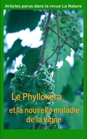 Le Phylloxéra et la nouvelle maladie de la vigne