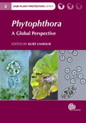 Phytophthora