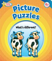 Picture Puzzles