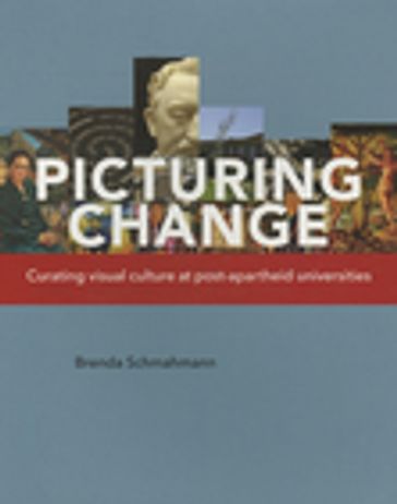 Picturing Change - Brenda Schmahmann