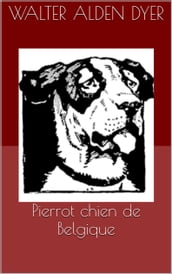 Pierrot chien de Belgique