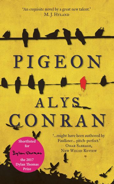 Pigeon - Alys Conran