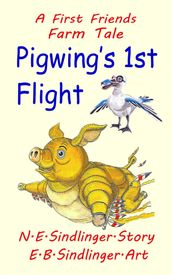 Pigwing s 1st Flight