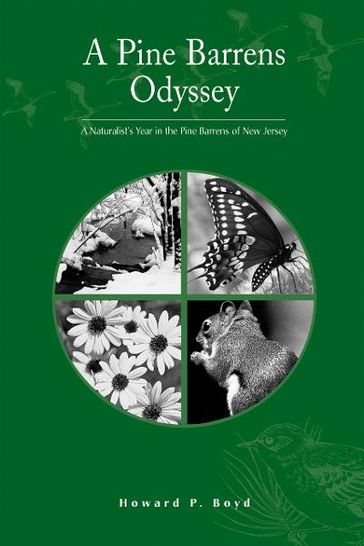 A Pine Barrens Odyssey: A Naturalists Year in the Pine Barrens of New Jersey - Howard P. Boyd