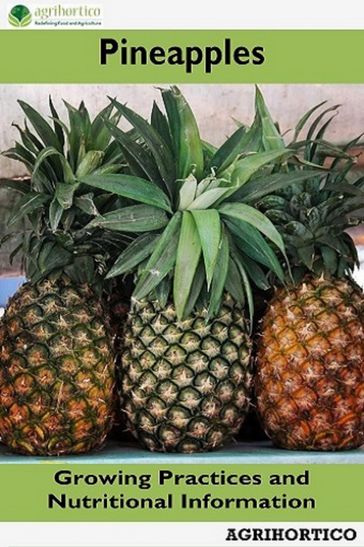 Pineapple - Agrihortico CPL